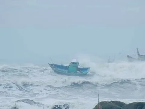 Bình Thuận: Tìm nhân thân ngư dân tử vong khi đánh bắt trên biển