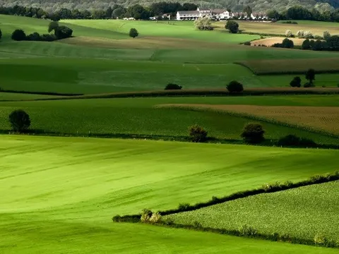 Cho phép người không sản xuất nông nghiệp được nhận chuyển nhượng đất trồng lúa?