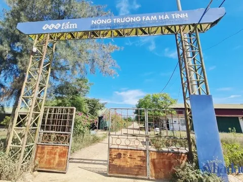 Dự án nông nghiệp của FLC ở Hà Tĩnh đứng trước nguy cơ bị thu hồi