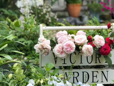 Khu vườn hoa cỏ rộng 100m², hễ ai đặt chân đến là quên lối về, xóa tan hết mọi muộn phiền trên đời