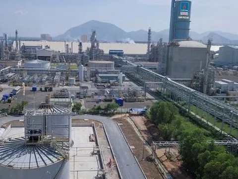 DPM duy trì vị thế tiên phong về cung cấp ammonia tại Việt Nam