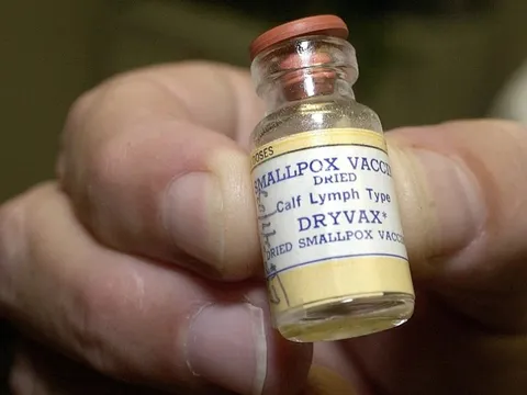 Cuộc săn lùng virus bí ẩn phòng bệnh đậu mùa khỉ - Kỳ 1