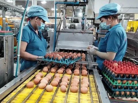 Siêu thị, doanh nghiệp: không tăng giá nhưng giảm... hơi khó