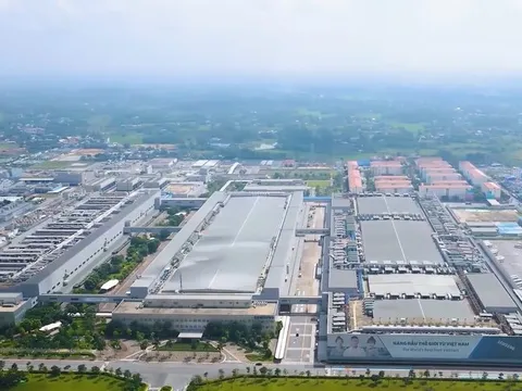 Sở hữu siêu dự án 8.000ha, Yên Bình Corp làm ăn ra sao?