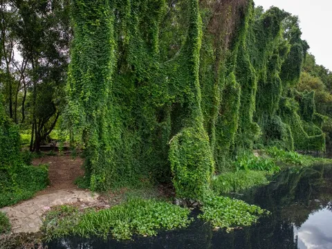 Công viên "treo" 21 năm được yêu thích bất ngờ vì như một cánh rừng