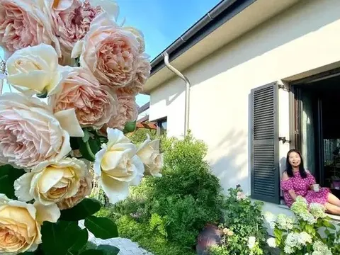 Những pha cải tạo sân thượng, nhà ở thành khu nghỉ dưỡng ngập hoa trái