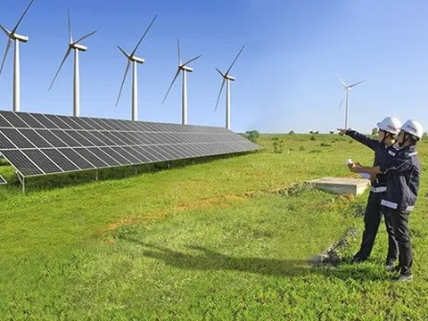 Điện gió Việt Nam hút nhà đầu tư ngoại