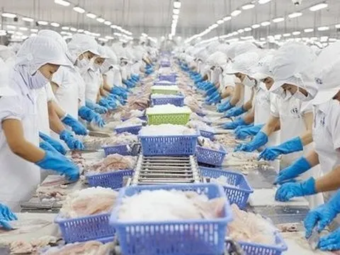Xuất khẩu thủy sản "giảm tốc", doanh nghiệp chờ mùa lễ hội