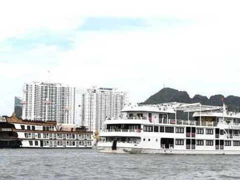 Ứng phó với cơn bão MULAN: Quảng Ninh cấm biển từ 12 giờ ngày 10-8