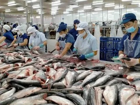 Vì sao xuất khẩu cá tra sang EU “làm 7 tháng tiền nhiều bằng cả năm”?