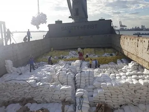 Gạo DT8 của Việt Nam chiếm ưu thế tại Philippines, Thái Lan “muốn cũng không được"