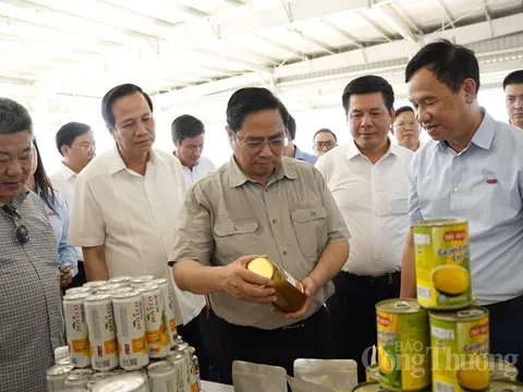 Hội nghị của Thủ tướng Chính phủ với doanh nghiệp toàn quốc