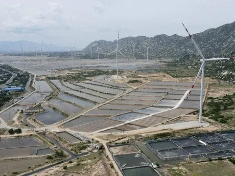 Bộ Công thương đề xuất làm tiếp điện mặt trời, Thanh tra Chính phủ nói đang thanh tra tổng thể