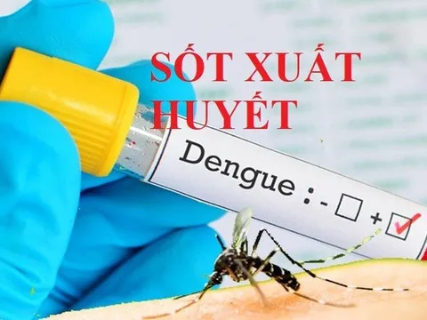 Hà Tĩnh phát hiện thêm 2 ổ dịch sốt xuất huyết