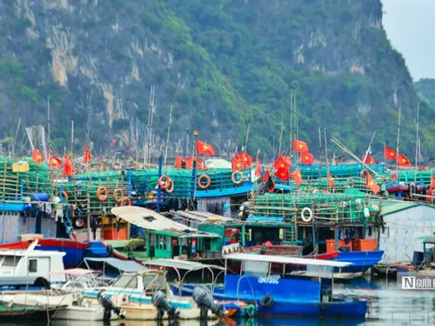 Nghiên cứu hỗ trợ ngư dân bị ảnh hưởng bởi giá xăng dầu tăng cao