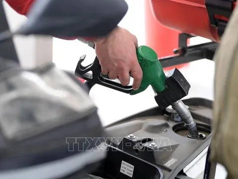 Giá dầu thế giới tăng sau khi IEA nâng dự báo nhu cầu năm 2022