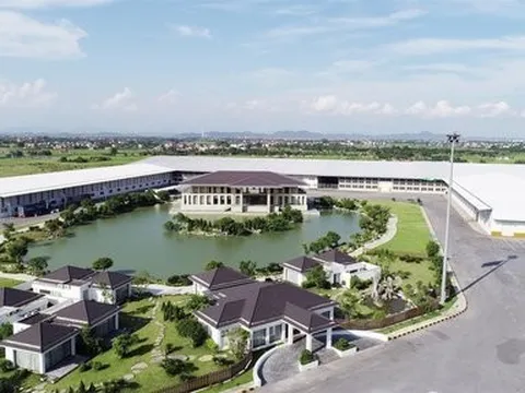 Thị giá giảm sâu từ đỉnh, lãnh đạo An Phát Holdings cắt lỗ 696.000 CP