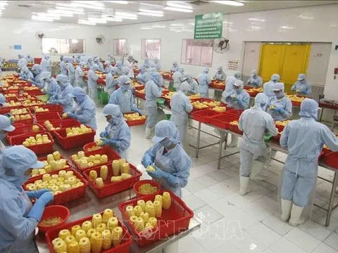 Kim ngạch thương mại Việt Nam - Lào khởi sắc trong 7 tháng đầu năm