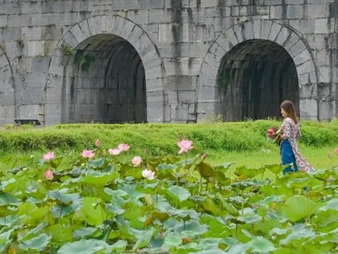 Ngỡ ngàng trước cảnh thanh bình ở di sản Thành nhà Hồ