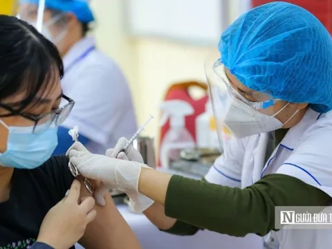 Ngày 13/8, ghi nhận có 1.815 ca Covid-19