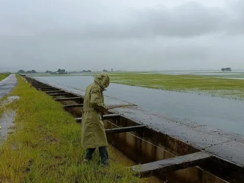 Một huyện ở Đắk Lawsk thiệt hại 67 tỷ đồng do mưa lũ