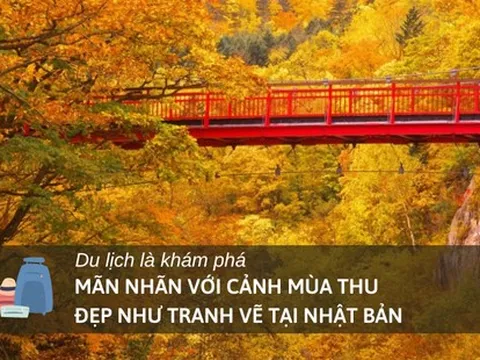 Khám phá nơi đón mùa thu sớm nhất Nhật Bản: Du khách "mãn nhãn" với cảnh lá vàng đẹp như tranh