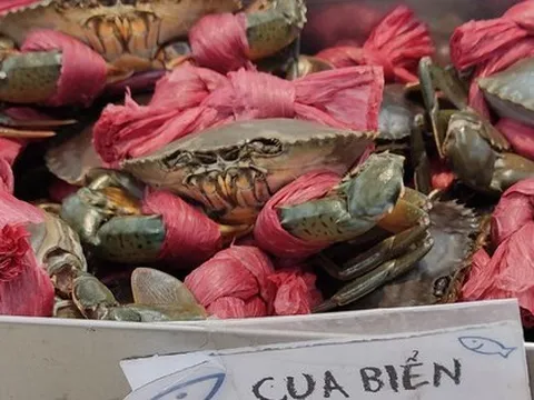 Mỹ, Nhật, Trung Quốc tranh nhau mua cua, ghẹ Việt Nam