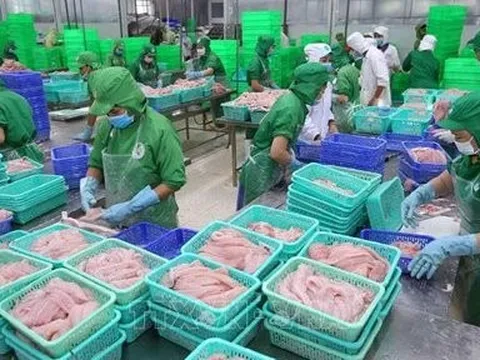 Tận dụng thời cơ từ thị trường Mỹ, lợi nhuận IDI tăng gấp gần 9 lần