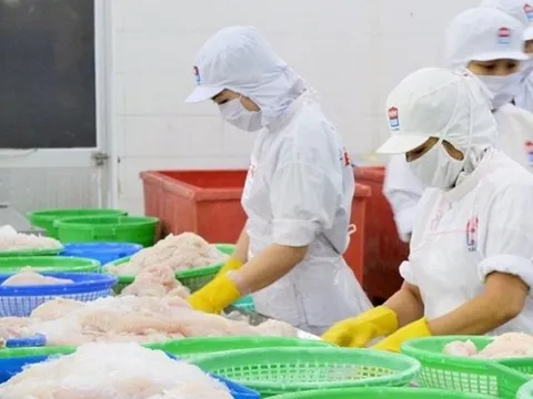 VASEP: Nhiều nhà nhập khẩu đã ngưng nhận đơn hàng đến tháng 10