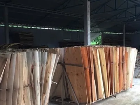 Ngành gỗ lên tiếng về cáo buộc lẩn tránh thuế