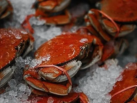 Mạo danh công ty hải sản để lừa người mua tôm hùm, cua hoàng đế 200.000 USD