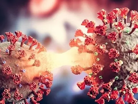 Bộ Y tế đính chính về việc Việt Nam ghi nhận biến thể phụ BA.2.74, không phải BA.2.75