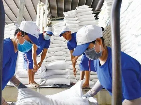 Vì sao gạo Việt 'mất ngôi' giá cao nhất thế giới?