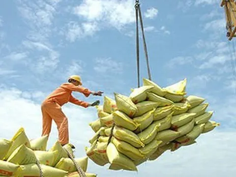 Thiếu thương hiệu: Gạo Việt đánh mất cơ hội tại thị trường EU