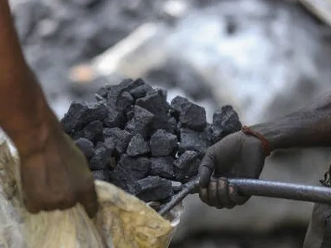 Người Đức đổ xô tích trữ than