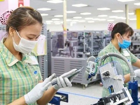 Hơn 30 tỷ USD xuất nhập khẩu trong nửa đầu tháng 8