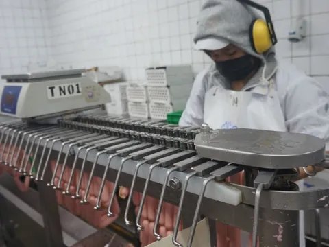 TP Hồ Chí Minh: Tiếp tục hỗ trợ doanh nghiệp nhanh chóng phục hồi hoạt động