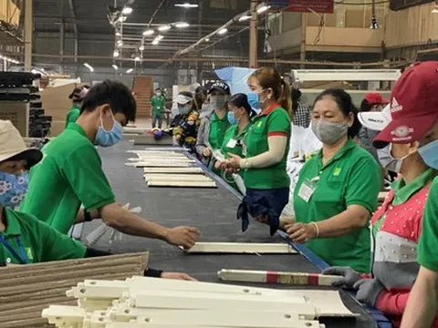 Hơn 40 doanh nghiệp gỗ nếu bị áp thuế chống bán phá giá: Nguy cơ phá sản hàng loạt