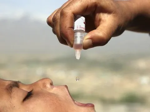 Bệnh nguy hiểm tái xuất do virus rơi ra từ vắc-xin rồi đột biến?