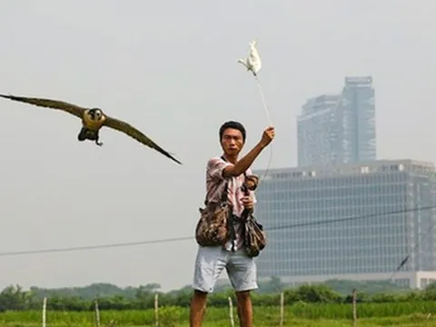 Thú chơi ''sát thủ bầu trời'' của giới trẻ Hà Nội