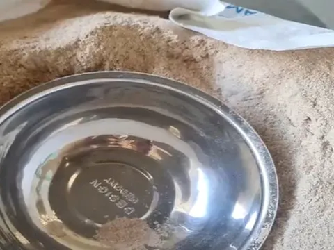 Xem xét khởi tố doanh nghiệp trộn bột đá vào cám chăn nuôi