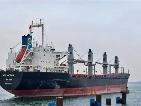 Một DN vận tải biển bị kiểm toán nghi ngờ khả năng hoạt động liên tục