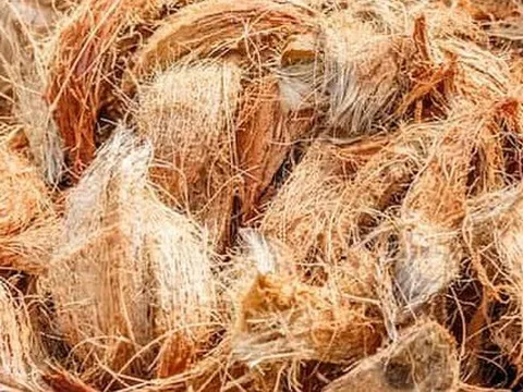 Dù Úc giảm nhập khẩu mặt hàng này 50% nhưng Việt Nam vẫn xuất khẩu đều, tăng 272%