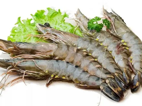 Tôm sú Việt Nam vẫn 'hút khách' Nhật Bản