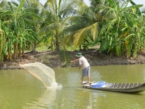 Xuất khẩu thủy sản dự kiến vượt mốc trên 10 tỷ USD trong năm nay