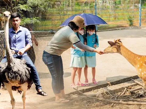 Những vườn thú giúp trẻ nhỏ được trải nghiệm tiếp xúc động vật ở cự ly gần