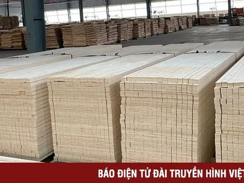 Hoa Kỳ chưa áp thuế chống bán phá giá với gỗ dán Việt Nam