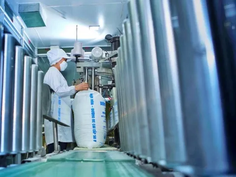 Hàng lậu chưa xử lý dứt điểm, doanh nghiệp ngành mía đường vẫn lao đao