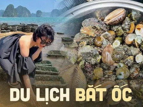 Đi biển vào dịp lễ 2/9 nhưng ngoài tham quan còn để trải nghiệm bắt ốc và chế biến tại chỗ cực kì lý thú
