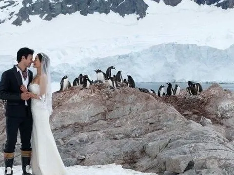 Dịch vụ tổ chức đám cưới ở Nam Cực dành cho cặp đôi thích mới lạ